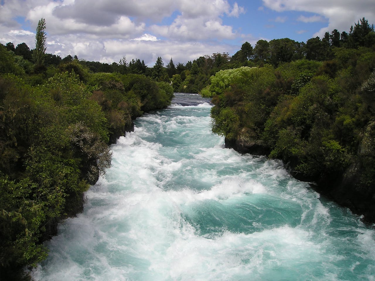 Vibrant and powerful river rapids flowing through lush green forest in a natural landscape.